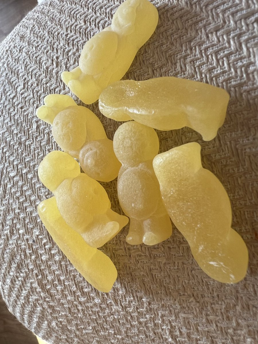 🕷️🌈🏳️‍⚧️MadCatLadyJules tweet media