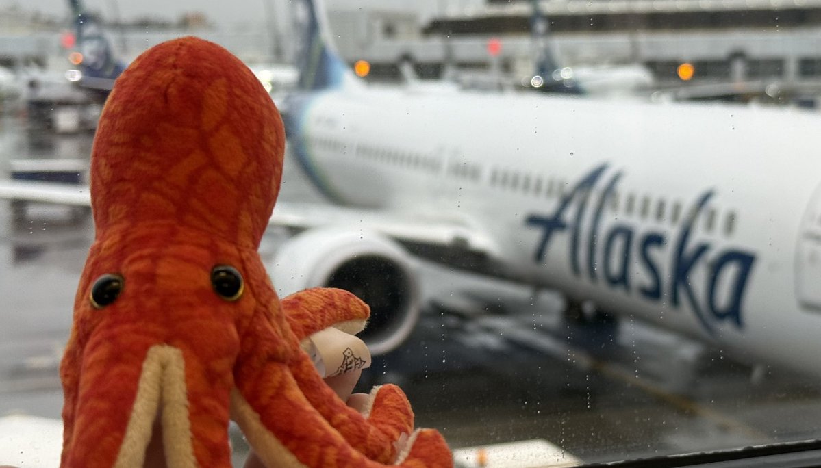 Ruri Moth 🌌VT tweet media