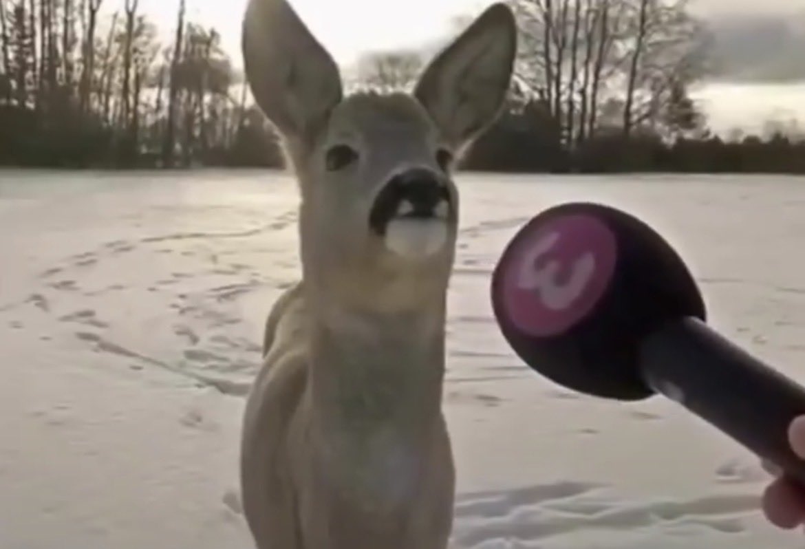 nolimitlearn tweet media