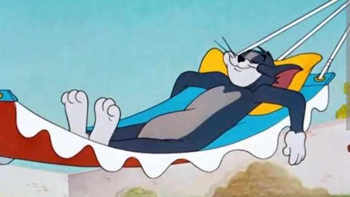 Sage ⚡ tweet media