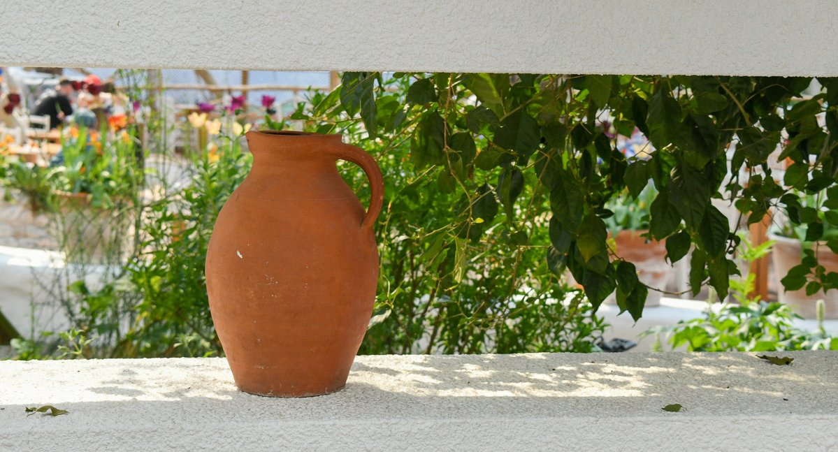 Deena Sharp tweet media