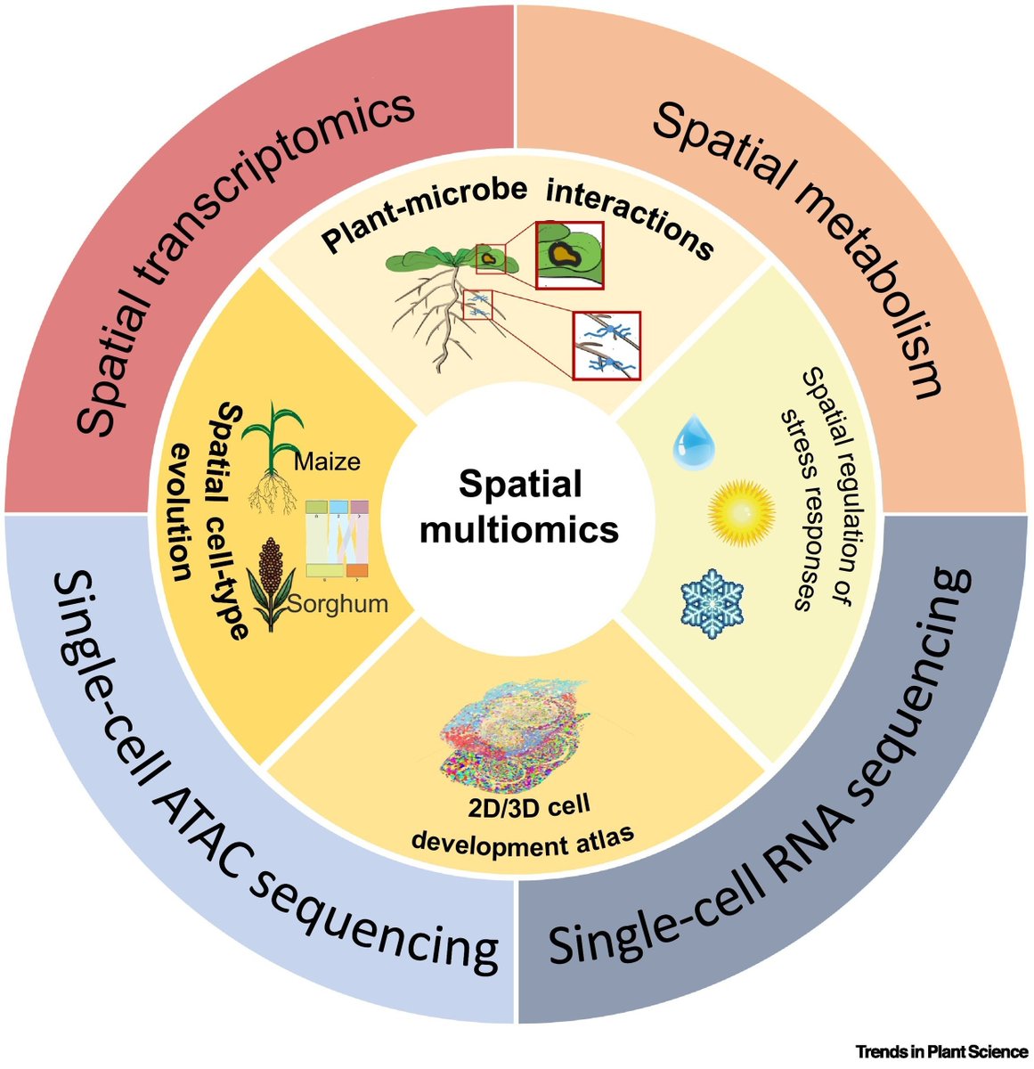 Plant Science tweet media