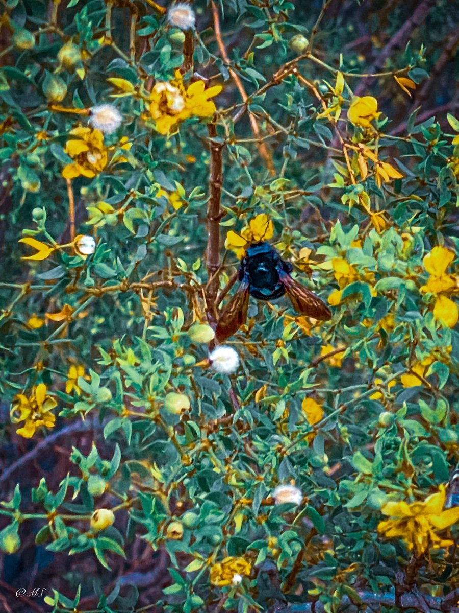 GritsAndGrace tweet media