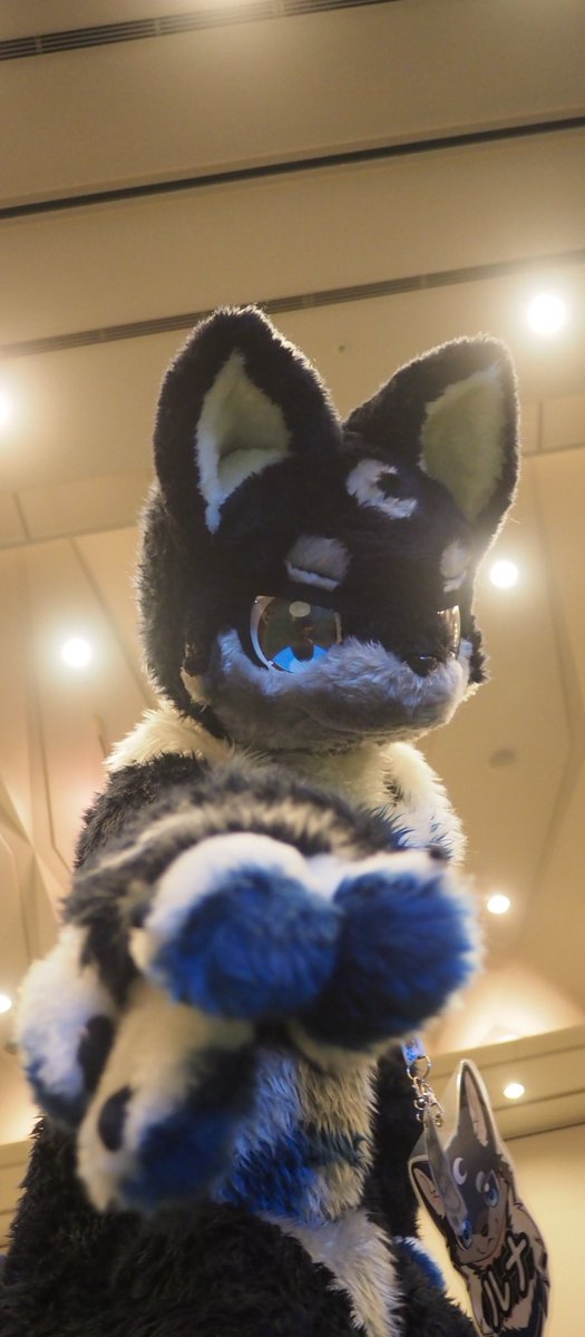 「3連休のヒトはゆっくり休んで、仕事のヒトは今日も一日頑張って素敵な休みを過ごせますように…！ピース！」

#FursuitFriday