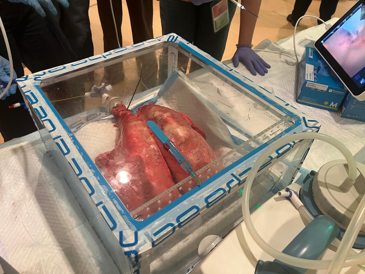 anemerida's tweet photo. @Neumosur Esta mañana con diferentes actividades precongreso sobre Neumología intervencionista y  manejo global y herramientas en el destete de Soportes Respiratorios https://t.co/aTwhmp5f2G