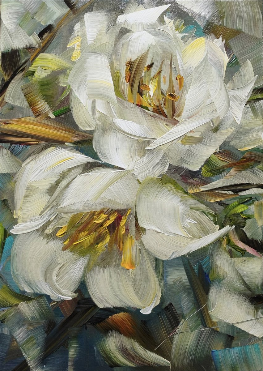 Vera Kober tweet media