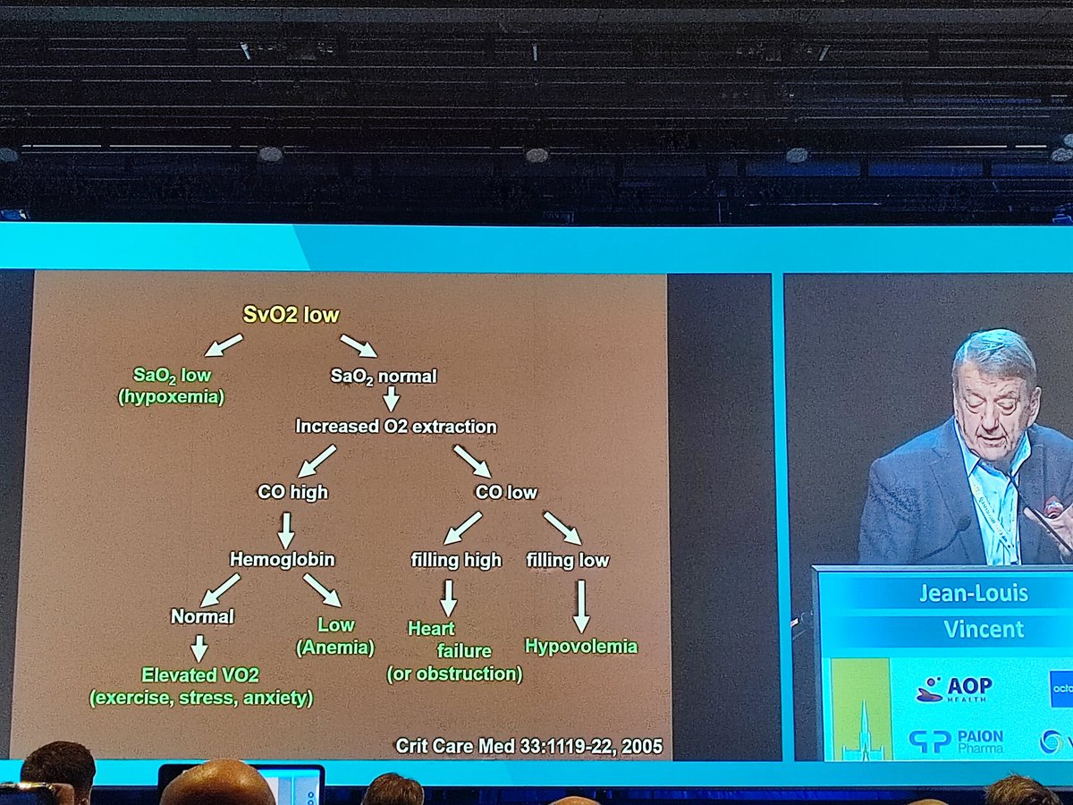Giacomo De Luca tweet media