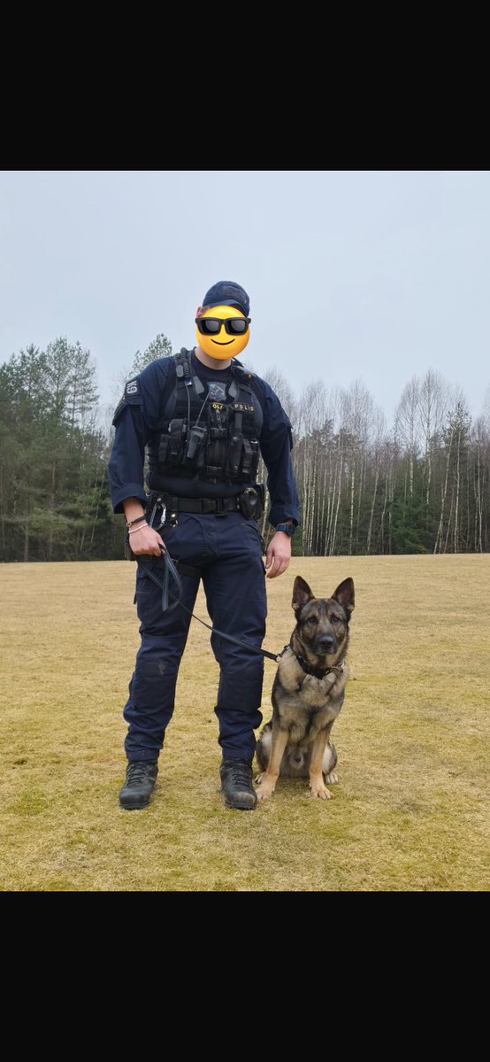 PappaPolis/K9Tempo tweet media