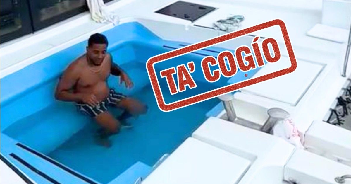 remolacha.net tweet media