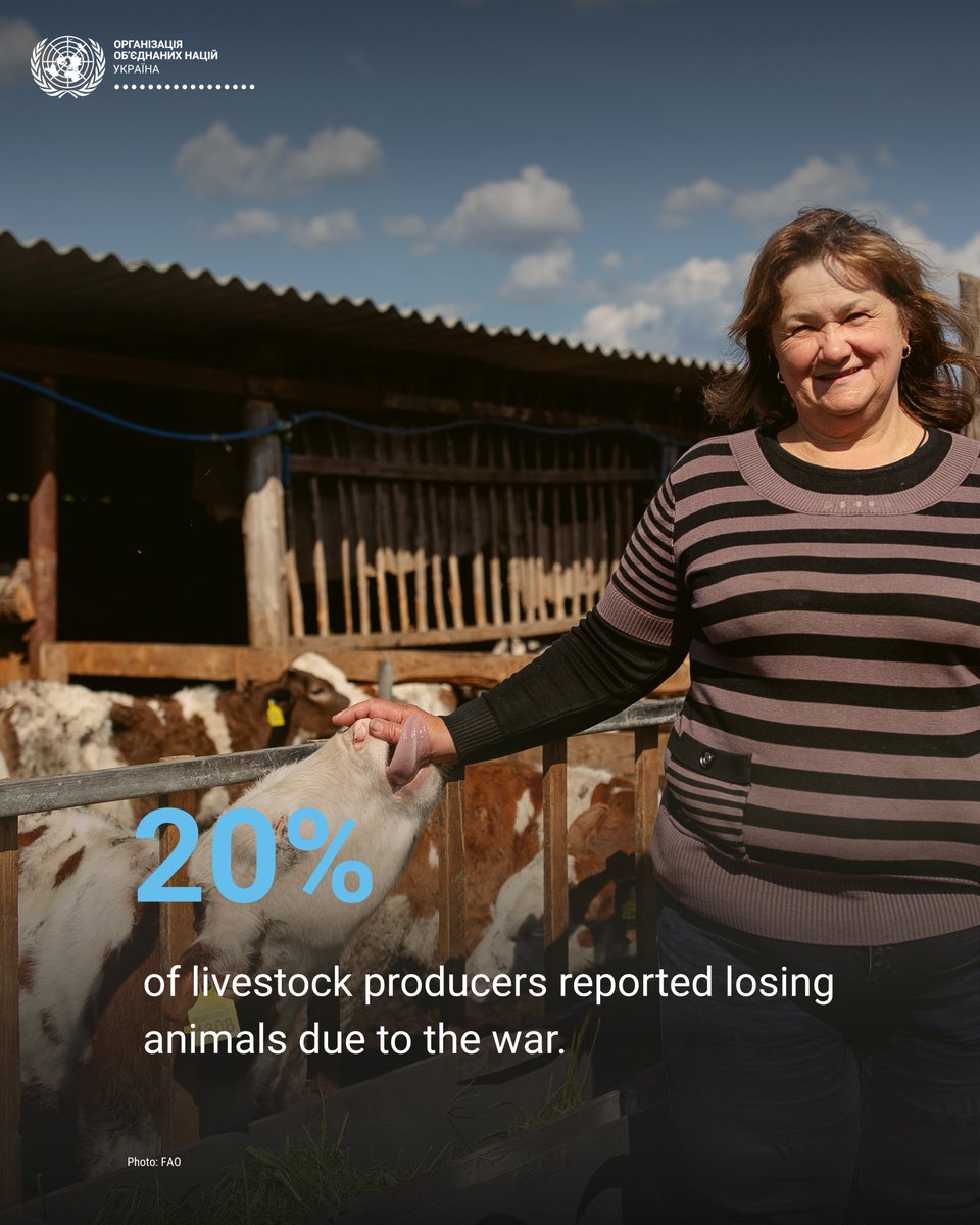 UN Ukraine tweet media