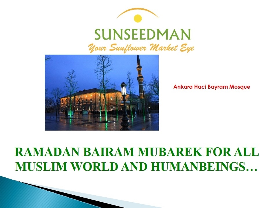 VEYSEL KAYA tweet media