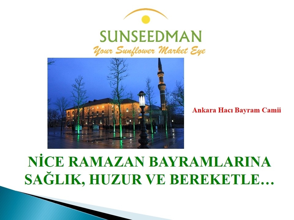 VEYSEL KAYA tweet media