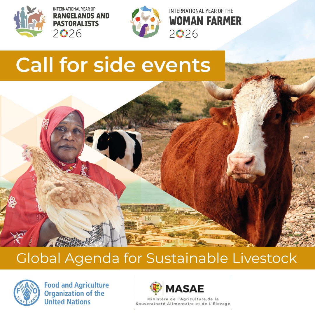 FAO Livestock tweet media