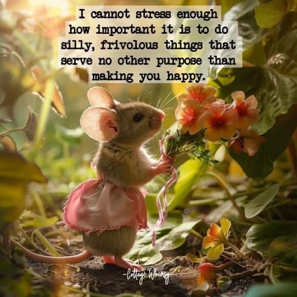 Linda 🇺🇸 🇺🇦 tweet media