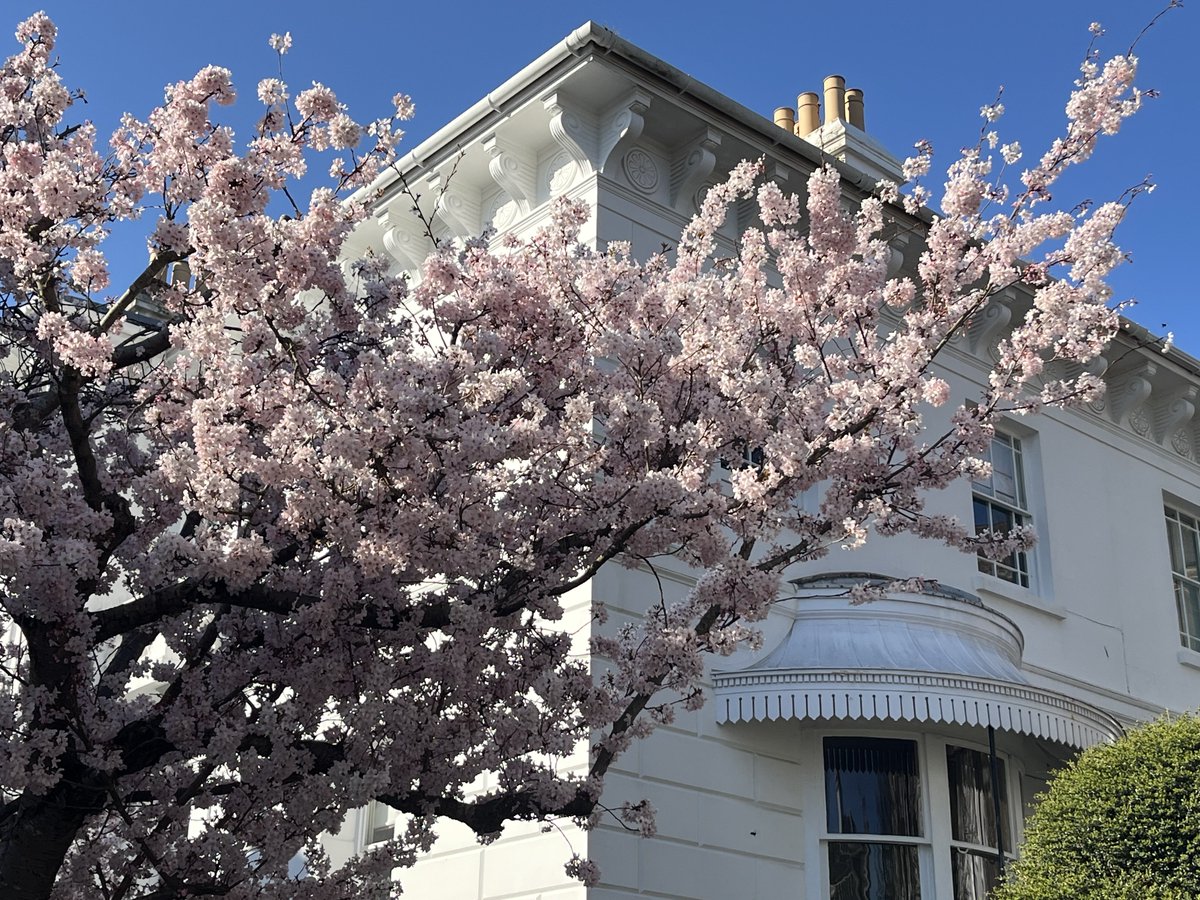 Dr. Jane Clare Jones tweet media