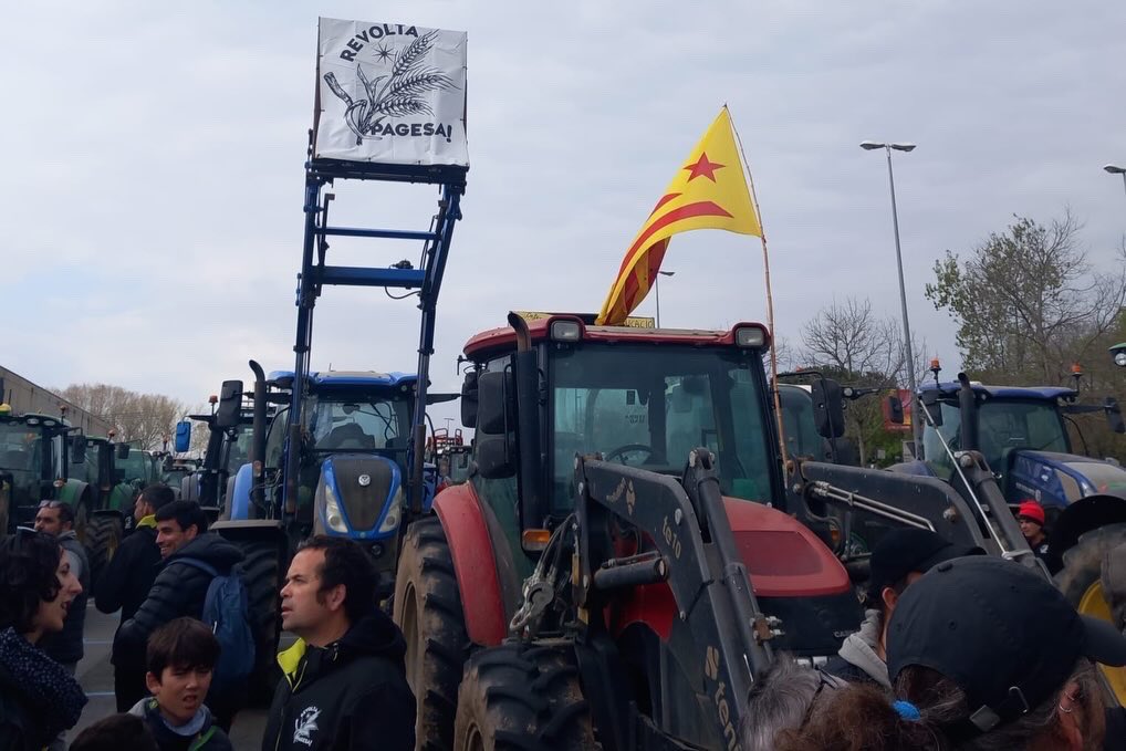 IPS-CUP Independents per Salt tweet media