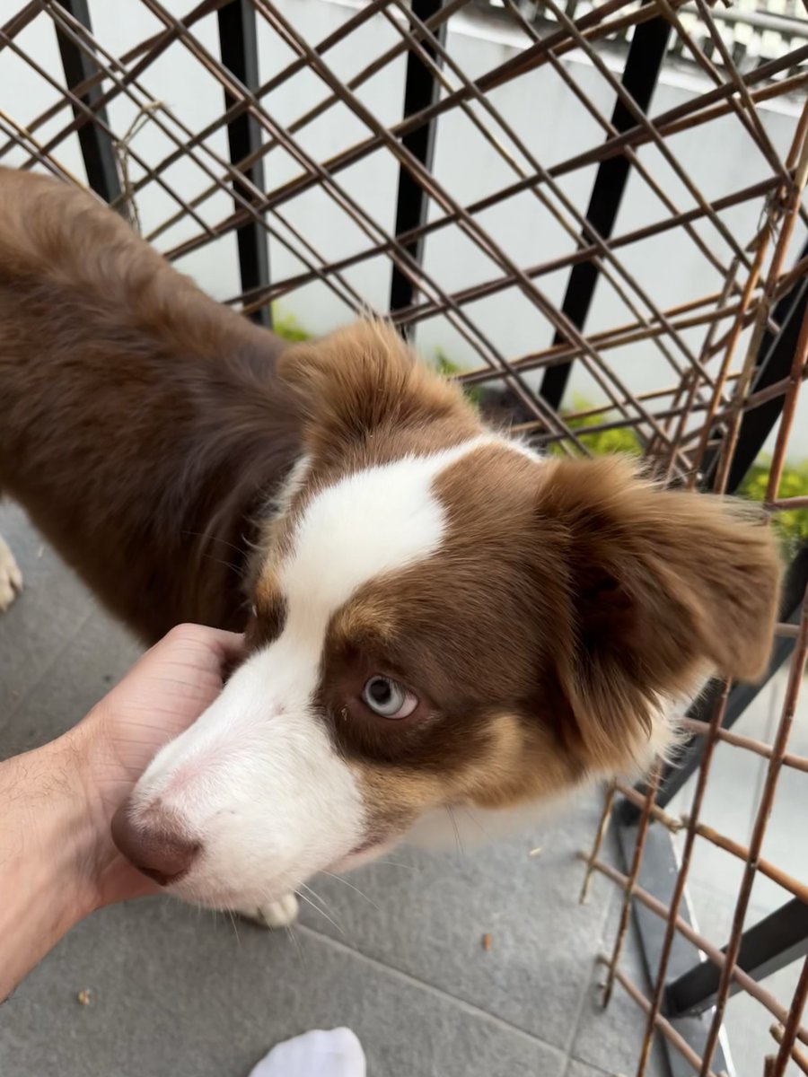 TodayDebating! tweet media