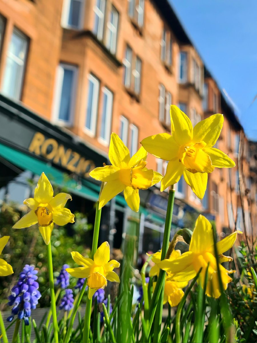 This Is My Glasgow tweet media