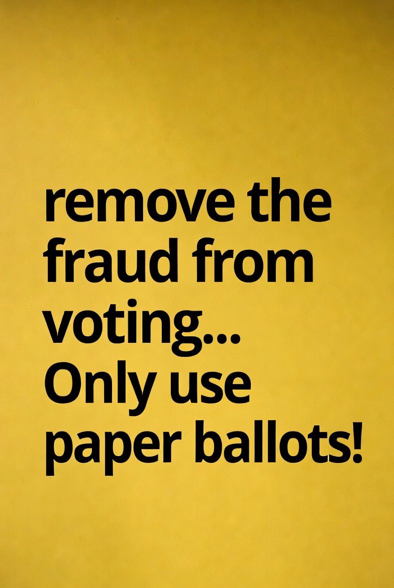 Lynn🇺🇸🇺🇸 tweet media