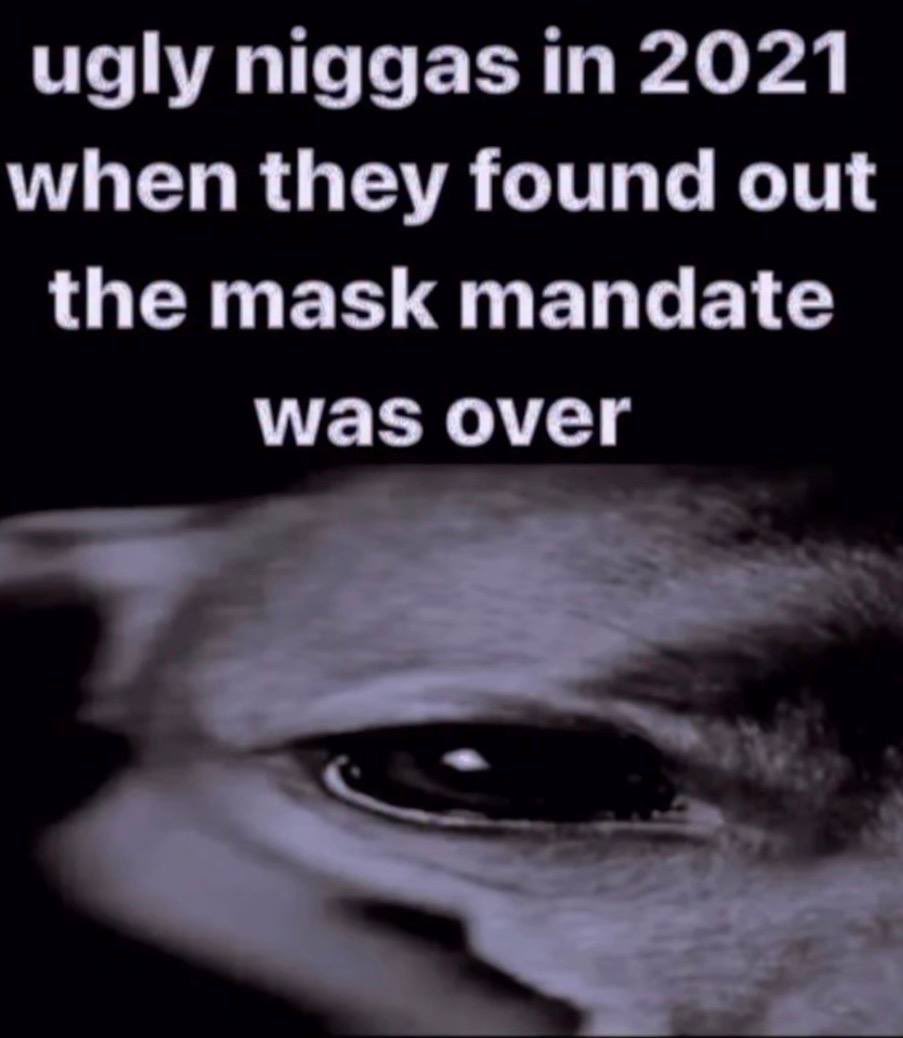 USA Reject tweet media