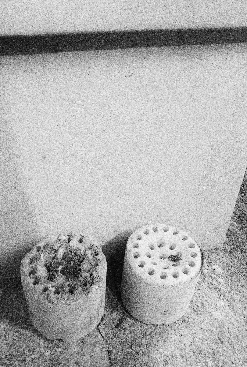 자흔이네 연탄집 tweet media