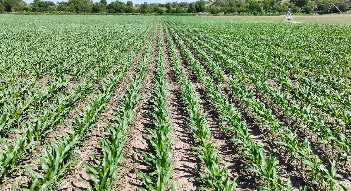 Rob-See-Co tweet media