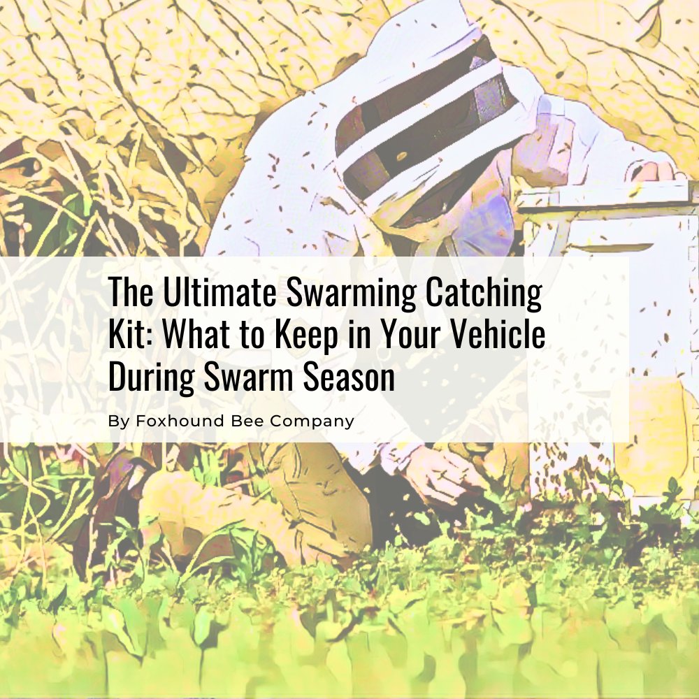 Foxhound Bee Company tweet media