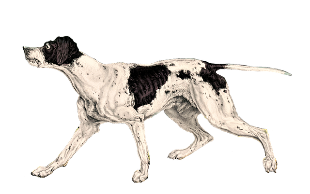 Amy Diaz tweet media