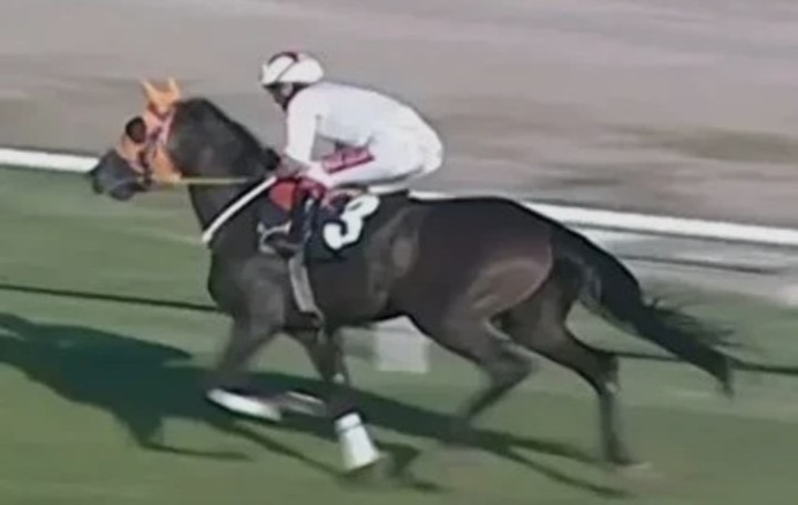 Satono Diamond 🇦🇷 tweet media