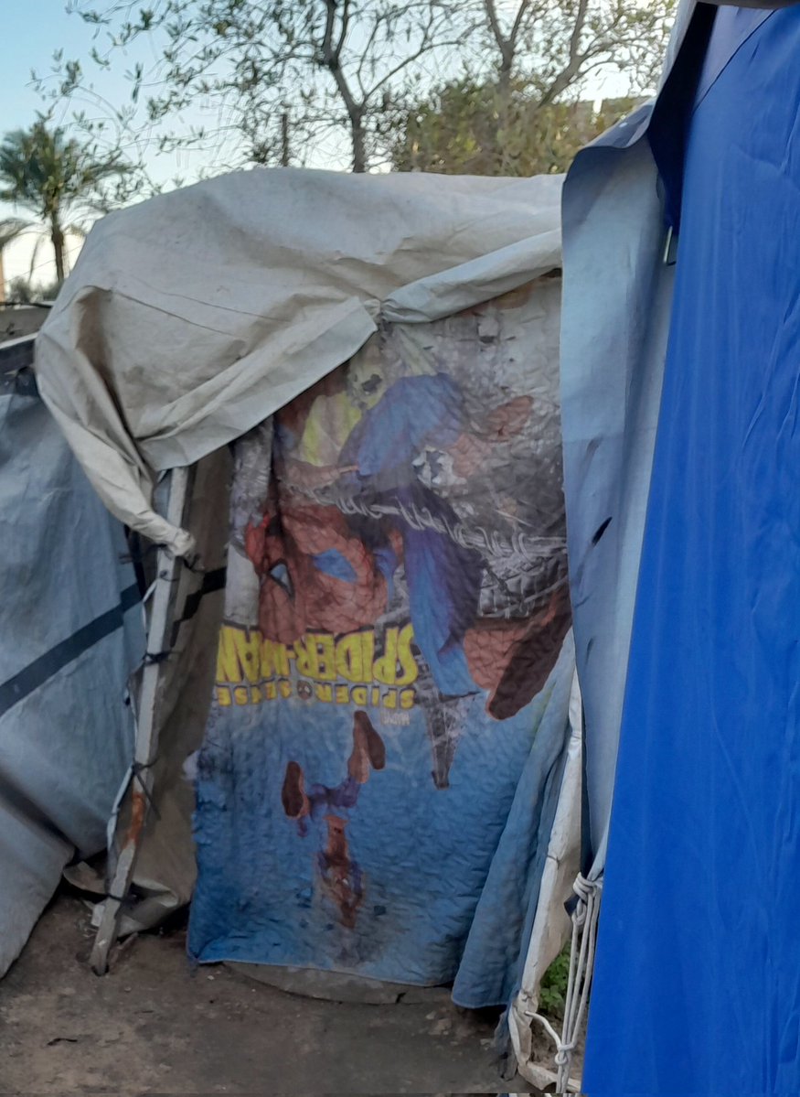 IMAN 𓂆🍉 tweet media