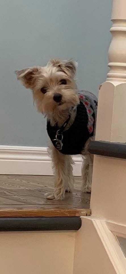 Pat Hand tweet media