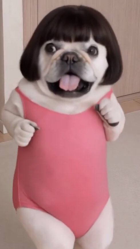 carla.love tweet media