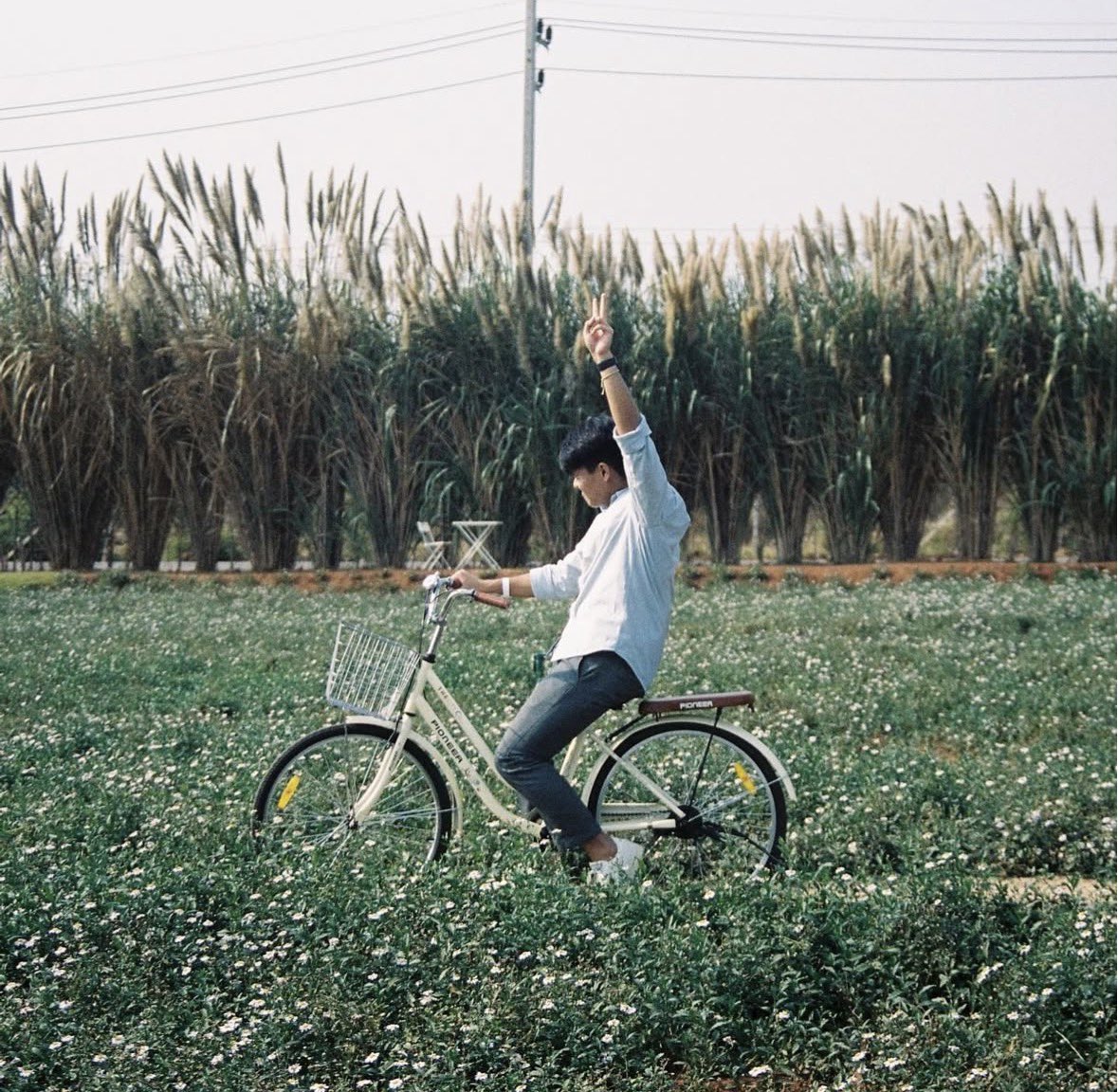 โยคาพรามูลา tweet media