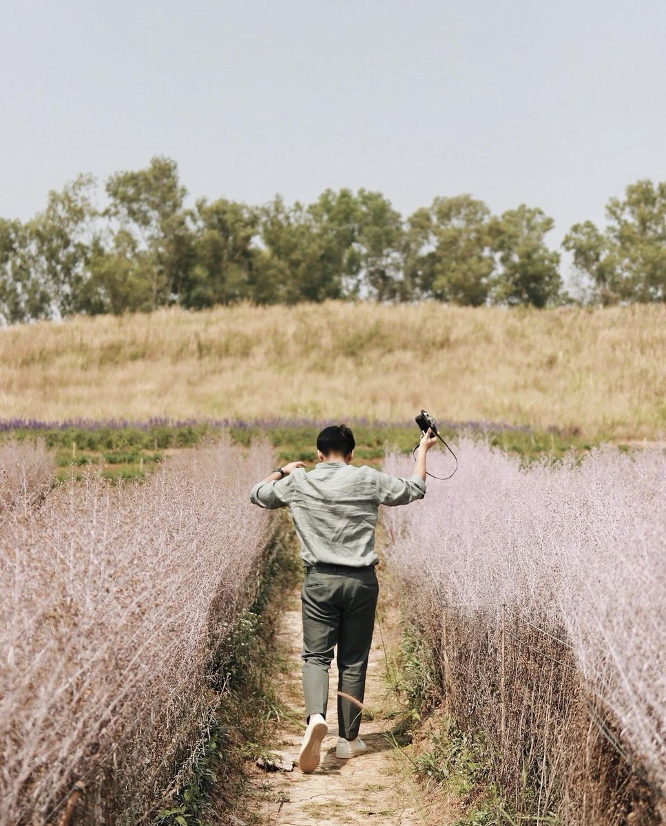 โยคาพรามูลา tweet media