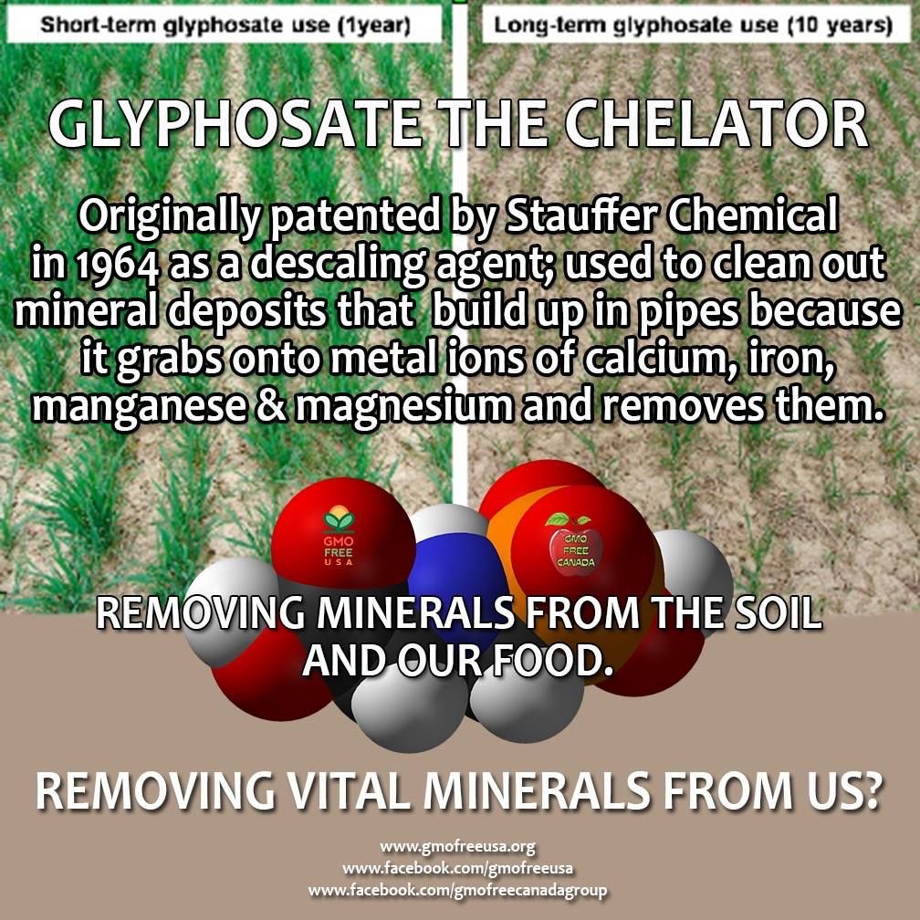 Derek Alexander tweet media