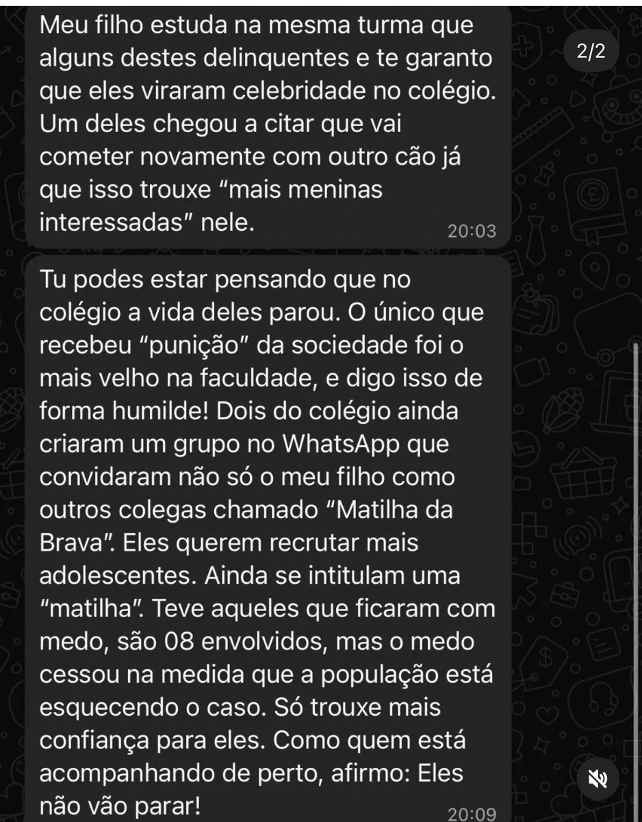 João Figueiredo tweet media