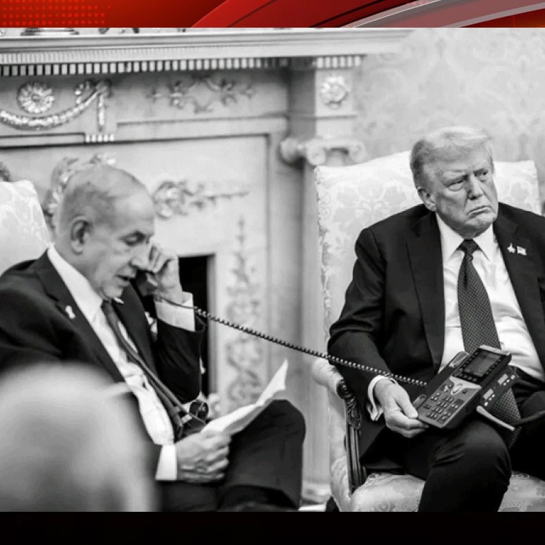 Dr. Juice tweet media