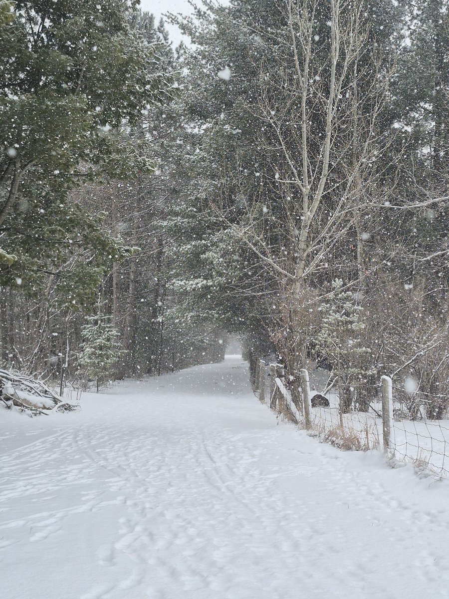 Karyn Curtis🇨🇦🐎 tweet media