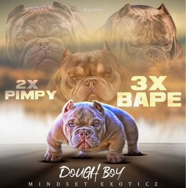 Rebecca Alter tweet media