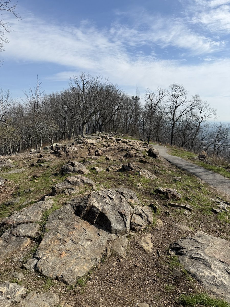 🏛Architectolder tweet media