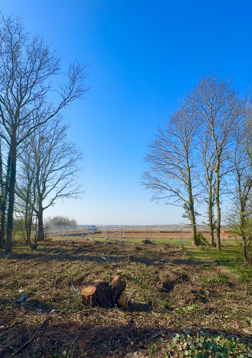 DigitalDan tweet media