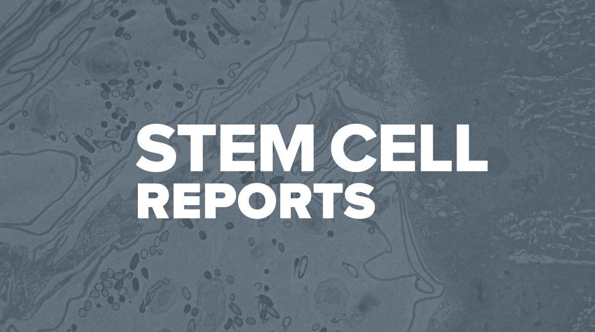 StemCellReports tweet media