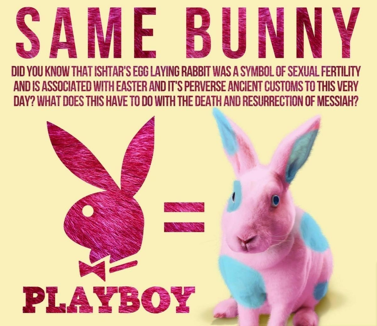 Derek Alexander tweet media