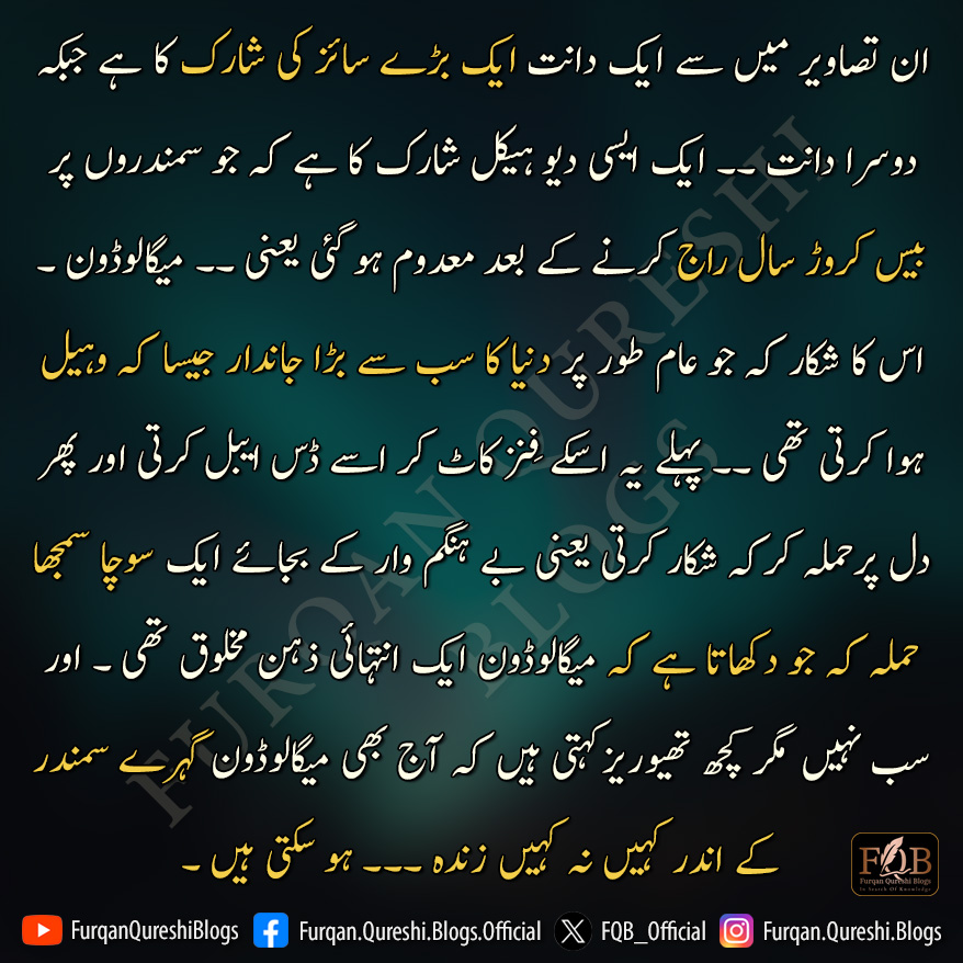 Furqan Qureshi Blogs tweet media