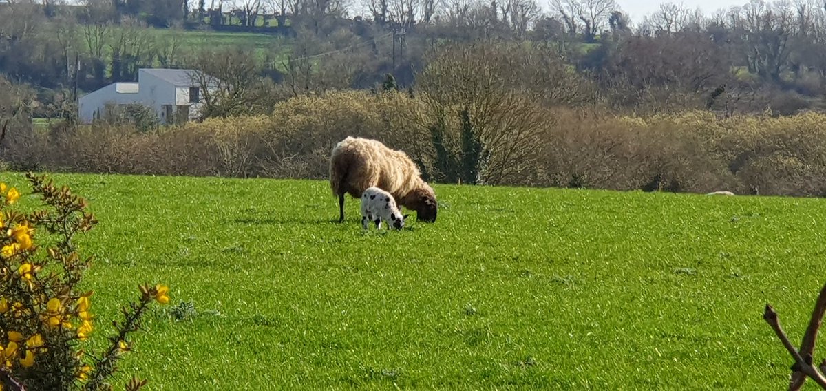 Tracy 💜 ☮️ 📸 ✍🏼 tweet media