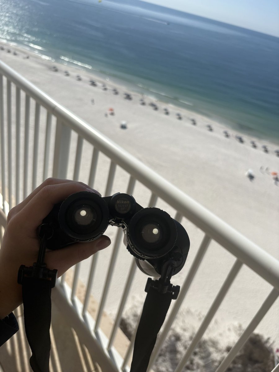 ToddBlumpkin41's tweet photo. No buns this morning in Orange Beach, AL https://t.co/WUd4rvitjX