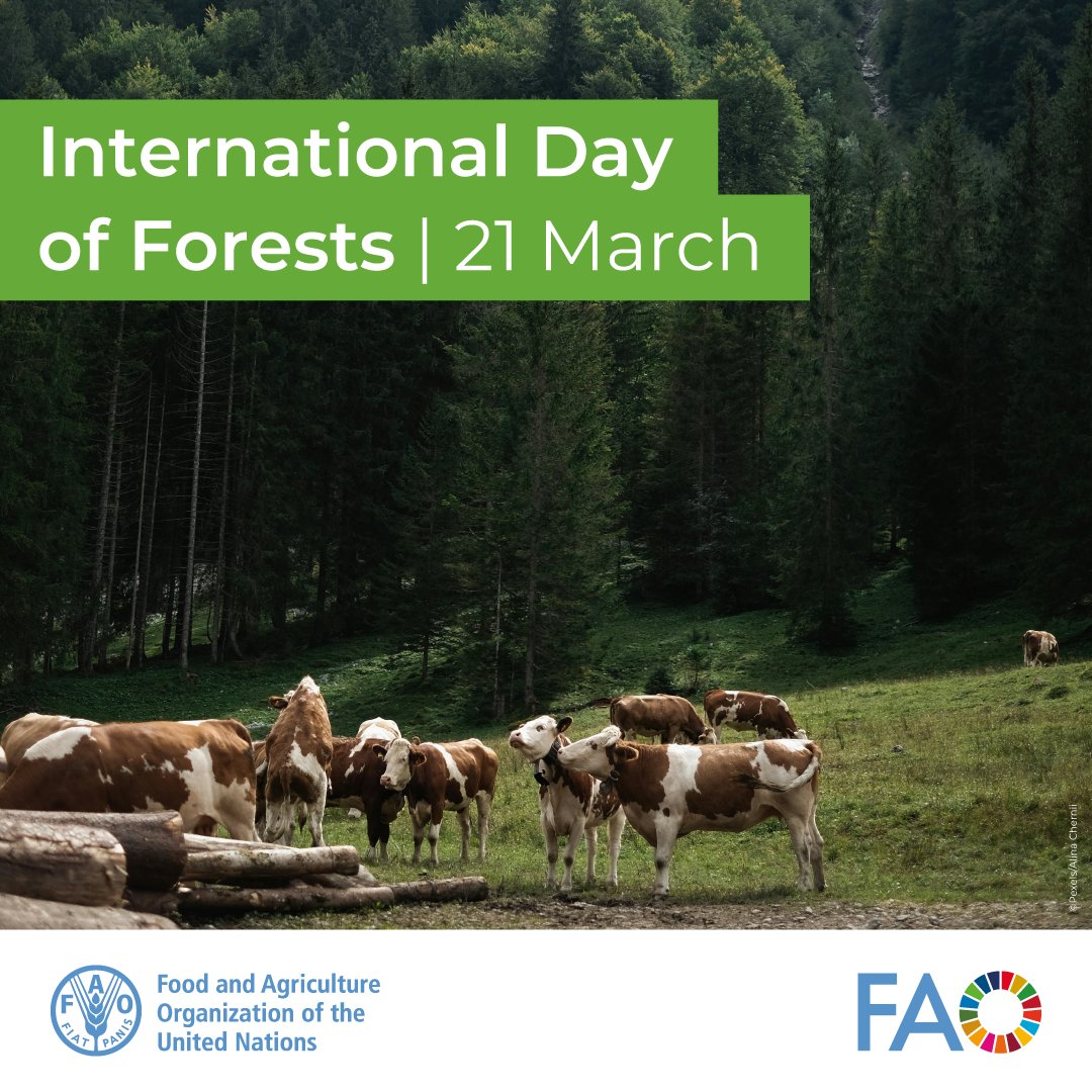 FAO Livestock tweet media