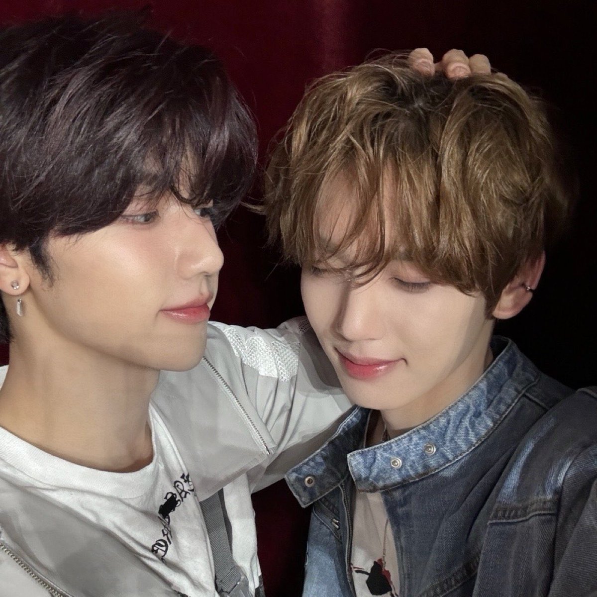 zhang hao ʚĭɞ tweet media