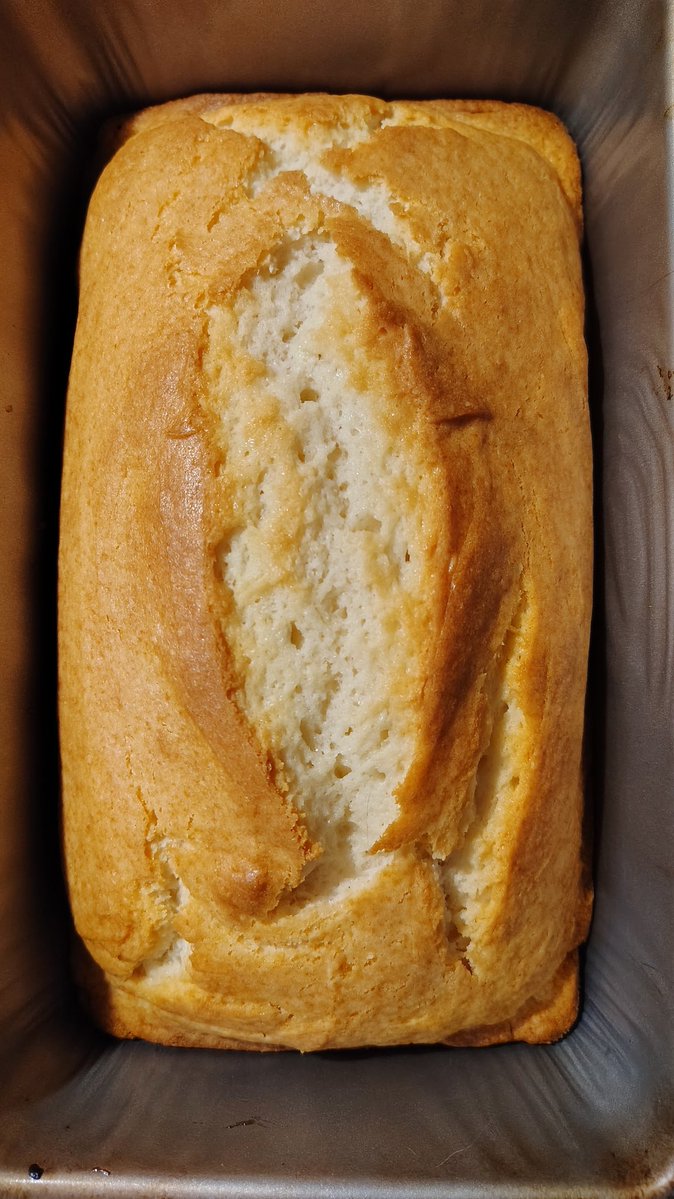 ☯️TheBassPlayer❤️🔥 tweet media