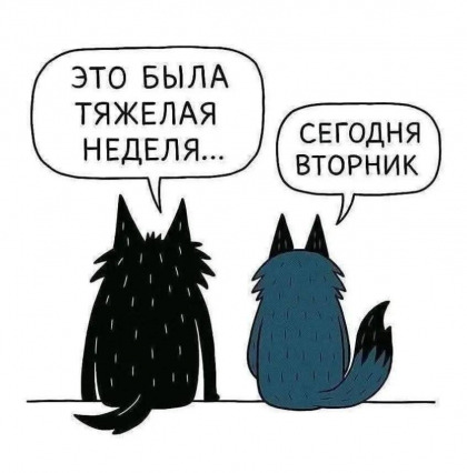 Элишкa tweet media